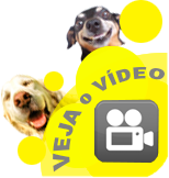 Veja o video