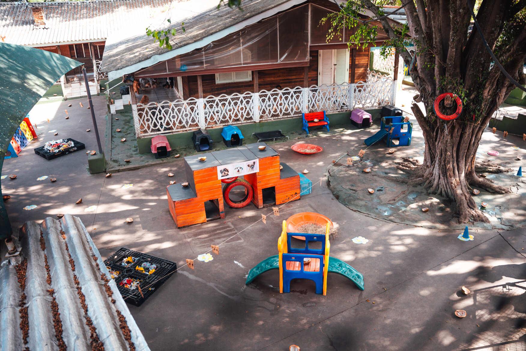 Creche para Caes