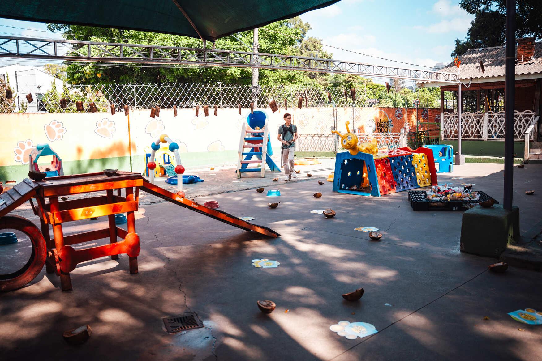Creche para Caes Planet Dog Resort