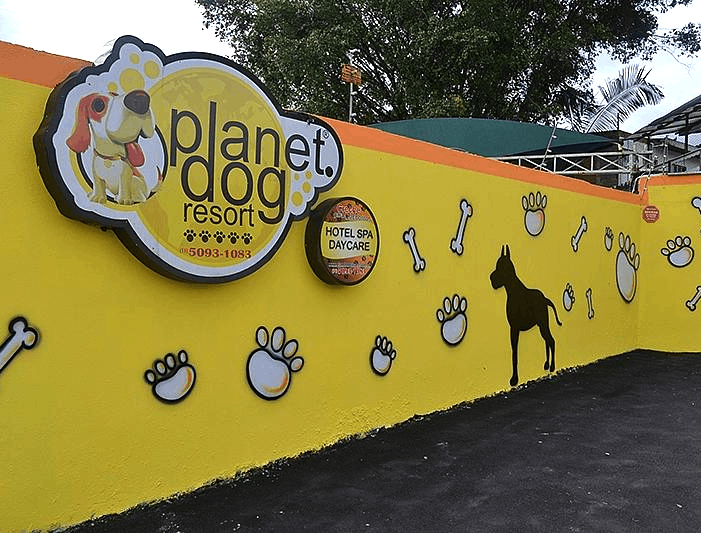 Planet Dog Resort - Nossa Historia